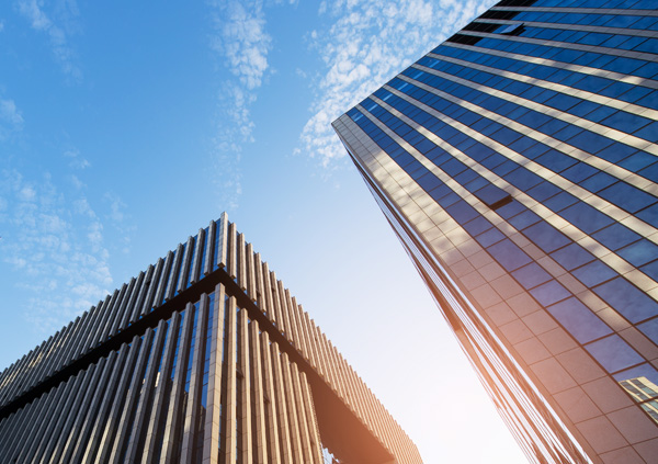 罗威纳犬、澳门一品、澳门罗威纳犬、德牧犬、杜宾犬、杜高犬、黑狼、杜宾犬、德牧犬。